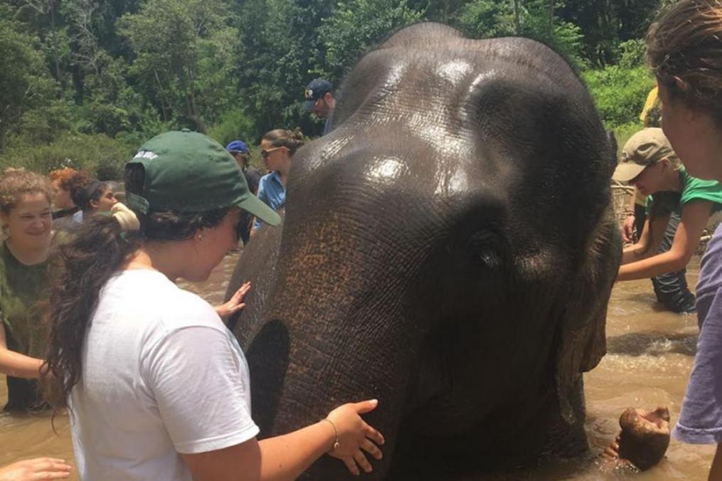 Sarah Honan '21 completed a summer Field Period® in Thailand. Her favorite part of the trip was hiking for elephants and getting to interact with them.