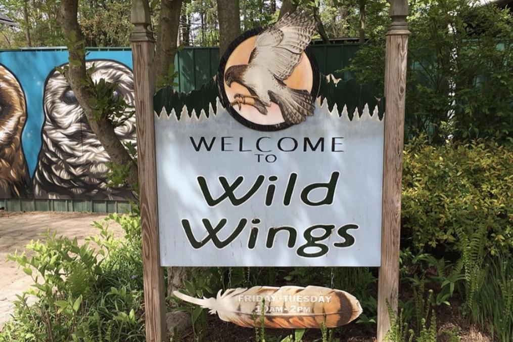 Wild Wings Inc. sign that says "welcome to Wild Wings"