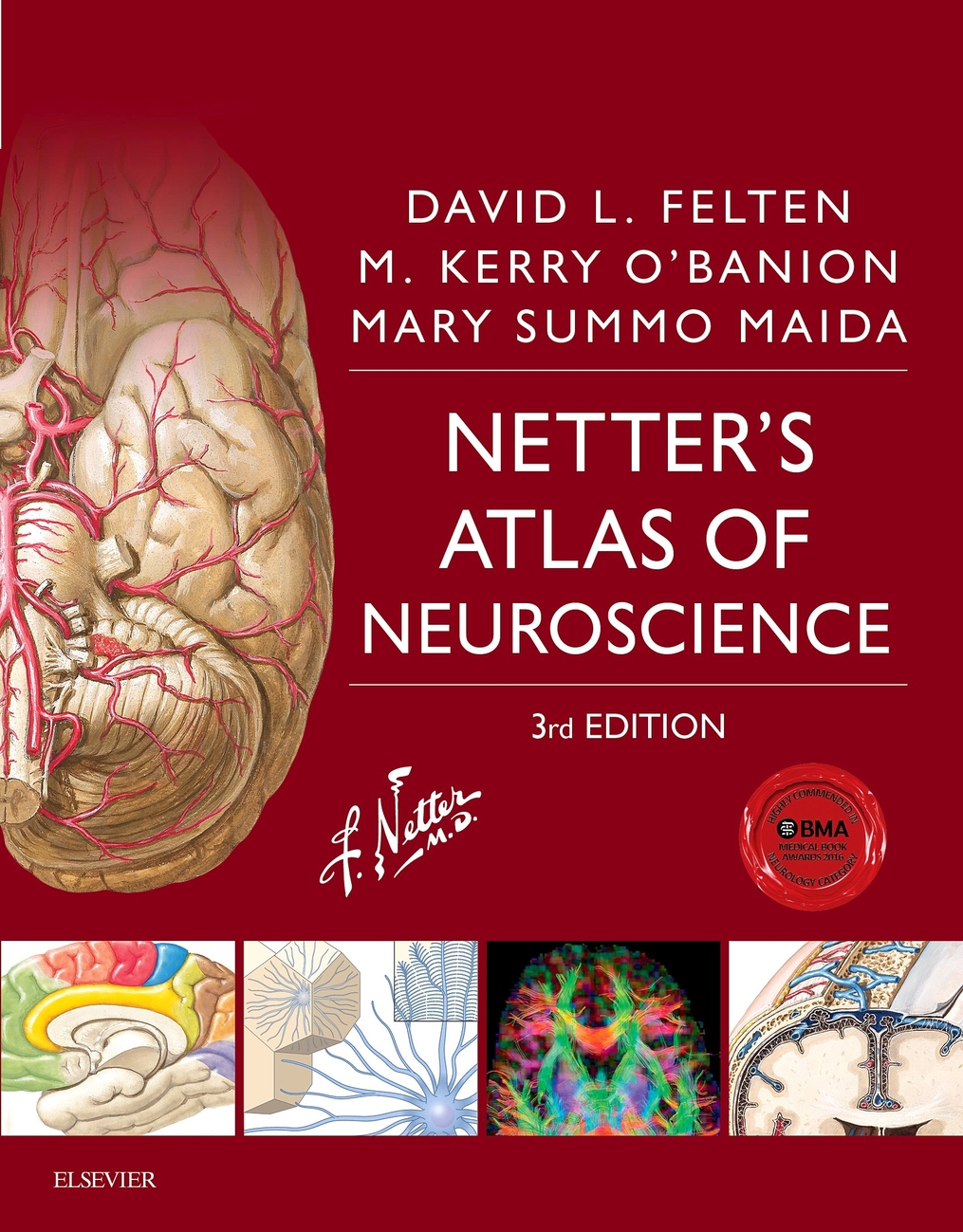 Netter's Atlas of Neuroscience 